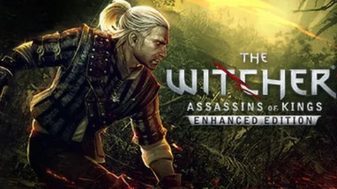 巫师2：国王刺客 增强版