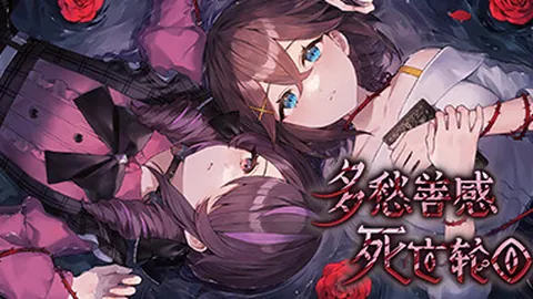 多愁善感死亡轮回