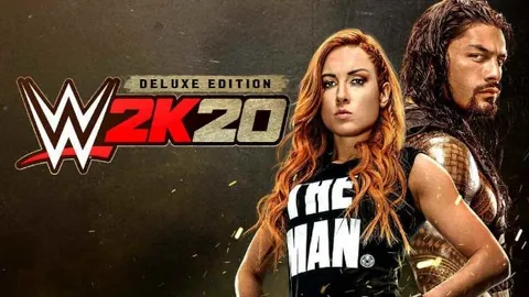 WWE 2K20/美国职业摔角联盟2K20（单机.多人同屏）