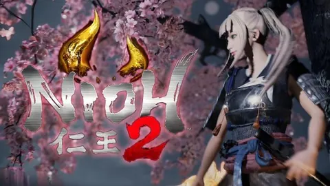 仁王2：绅士MOD整合版